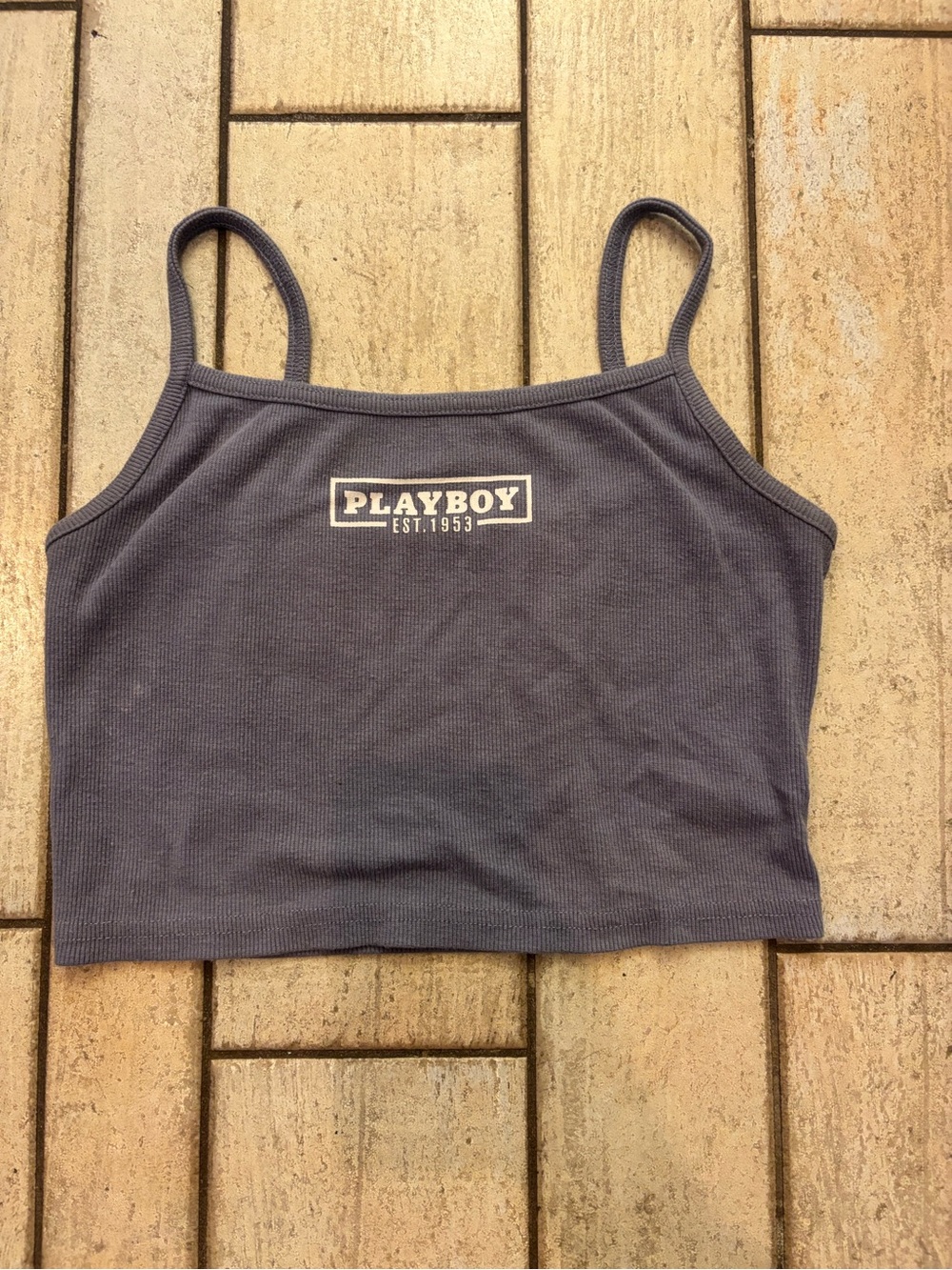 PLAYBOY Pacsun Charcoal Ribbed Cropped Cami